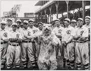 An actor in a polar bear suit plays the Chicago Cubs mascot at West Side Park in 1908