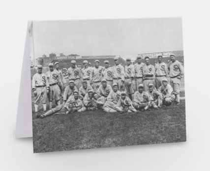 The 1917 World Series Champion Chicago White Sox
